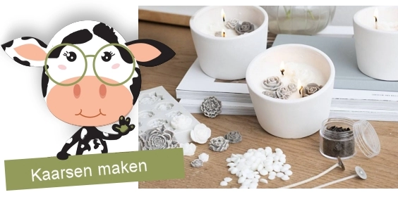 Koop al je hobbymaterialen kaarsen wax, lonten en gereedschap bij creaknutselen.nl. Alles voor je hobby kaarsen maken creaknutselen.nl