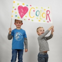 Houten beuken stokken 60cm - 10 stuks