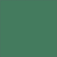 Hobbyverf acryl waterbasis zijdemat 250 ml groen
