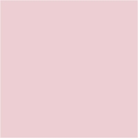 Hobbyverf acryl waterbasis zijdemat 250 ml roze