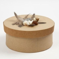 Hobby veren Parelhoen naturel 5-10cm 3 gram