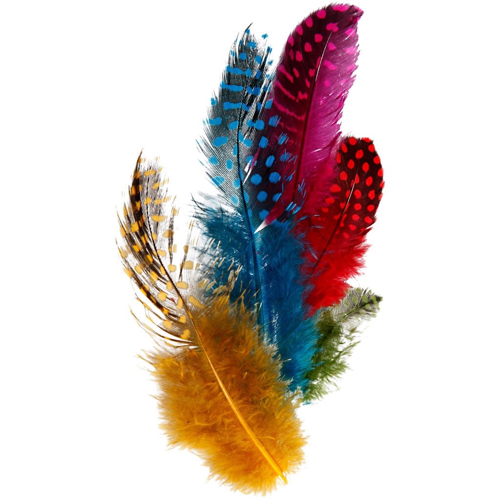 Parelhoender veren kleurtjes 5-10cm 100 stuks