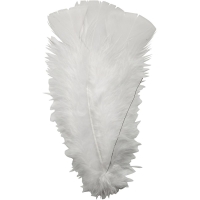 Dons veren wit 11-17cm - 18 x bundel a 3 stuks