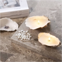 Diy pakketje kaarsen maken in oester schelpen