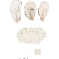 Diy pakketje kaarsen maken in oester schelpen