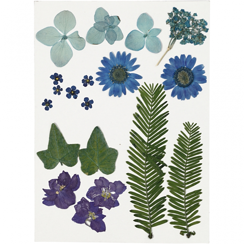 Delicate gedroogde bloemetjes en bladeren blauw - 19-delig