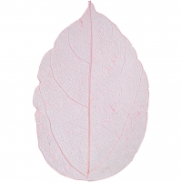 Bladeren gedroogd roze 6-8 cm 20 stuks