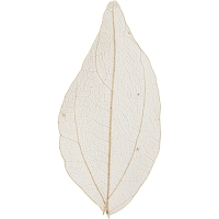 Gedroogde bladeren naturel 6-8cm - 20 stuks