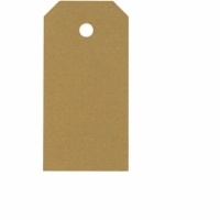 Kartonnen cadeau labels goud 4x8cm - 20 stuks