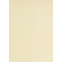 Vellum perkament papier naturel 100gr A4 -10 vellen