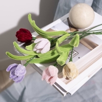 DIY Hobbyset tulpen van Chenilledraad – 5 stuks