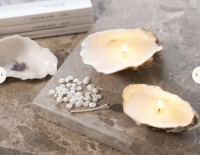 Sojawas wax voor kaarsen maken Cr&egrave;me 500 gram