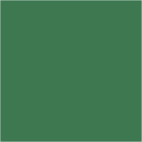 Zijdevloei inpakpapier groen 50x70cm 17gr 10 vellen