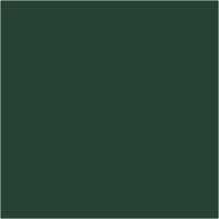 Hobbyverf waterbasis zijdemat donker groen 60 ml