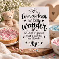 Geboortekaarten een klein wonder A6 &ndash; 25 stuks