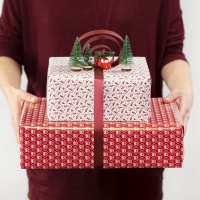 Kerst Inpakpapier Groen 50 cm x 5 Meter &ndash; 1 Rol